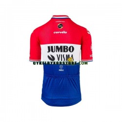 Herr Cykeltröjor Kortärmad 2021 Team Jumbo-Visma N004